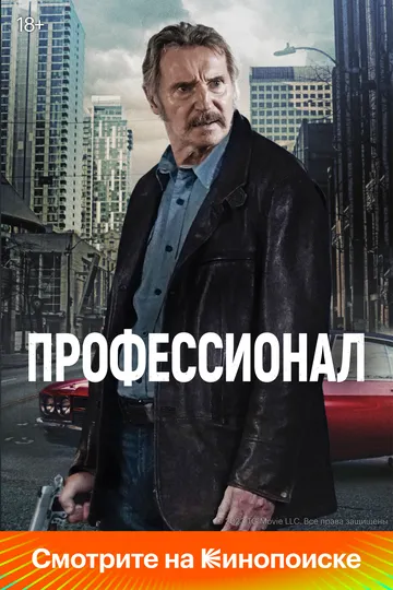 Профессионал / Absolution (2024)